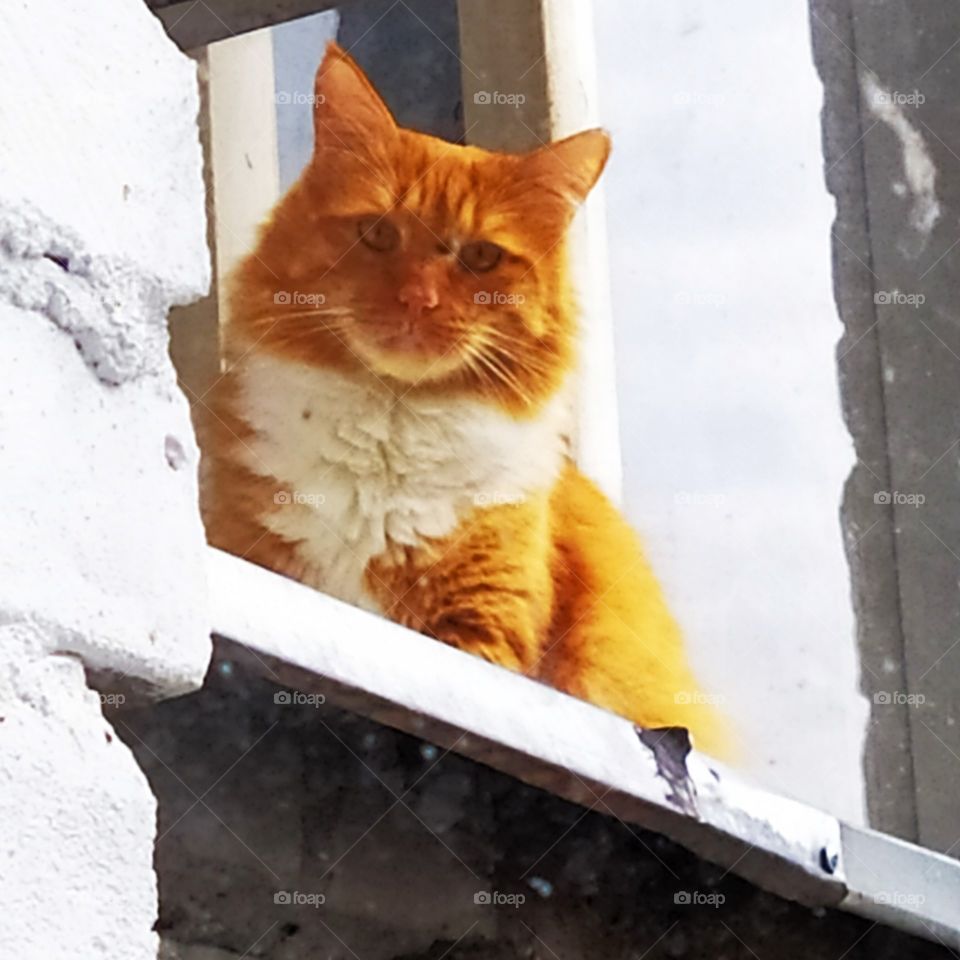 Resident on the third floor