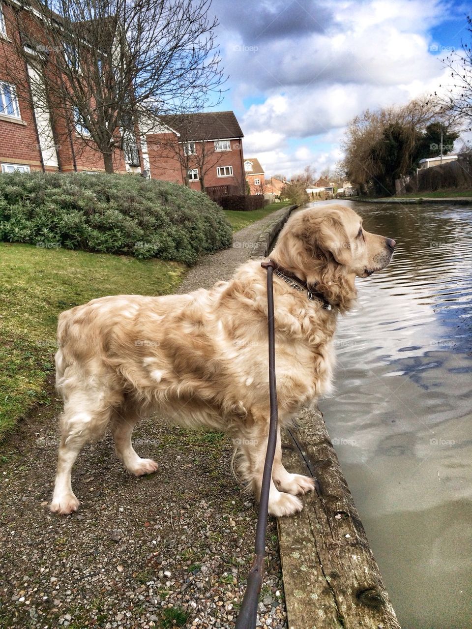 Nocas posing at the canal