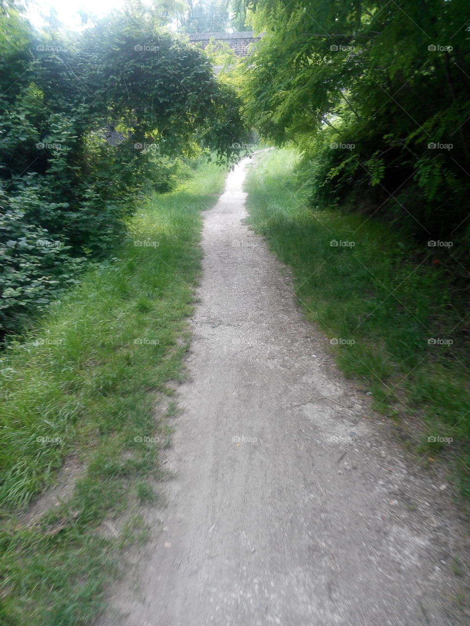 Road, Landscape, No Person, Nature, Wood