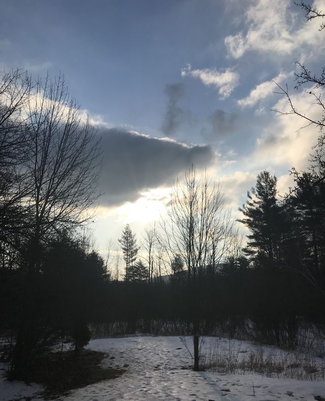 Sunlight