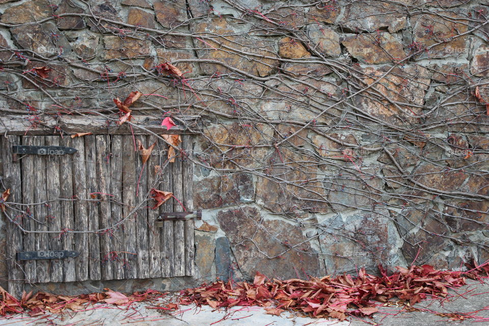autumn wall