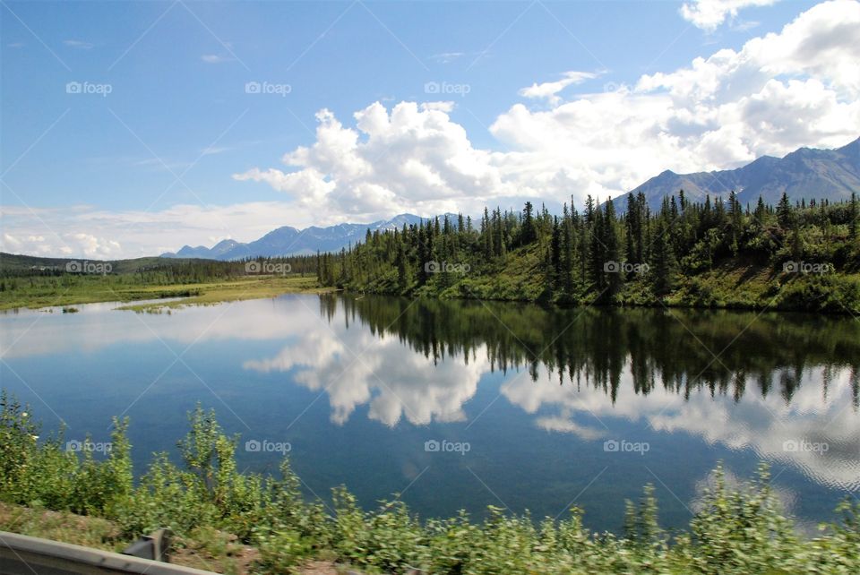 Reflection of clouds and trees at lake