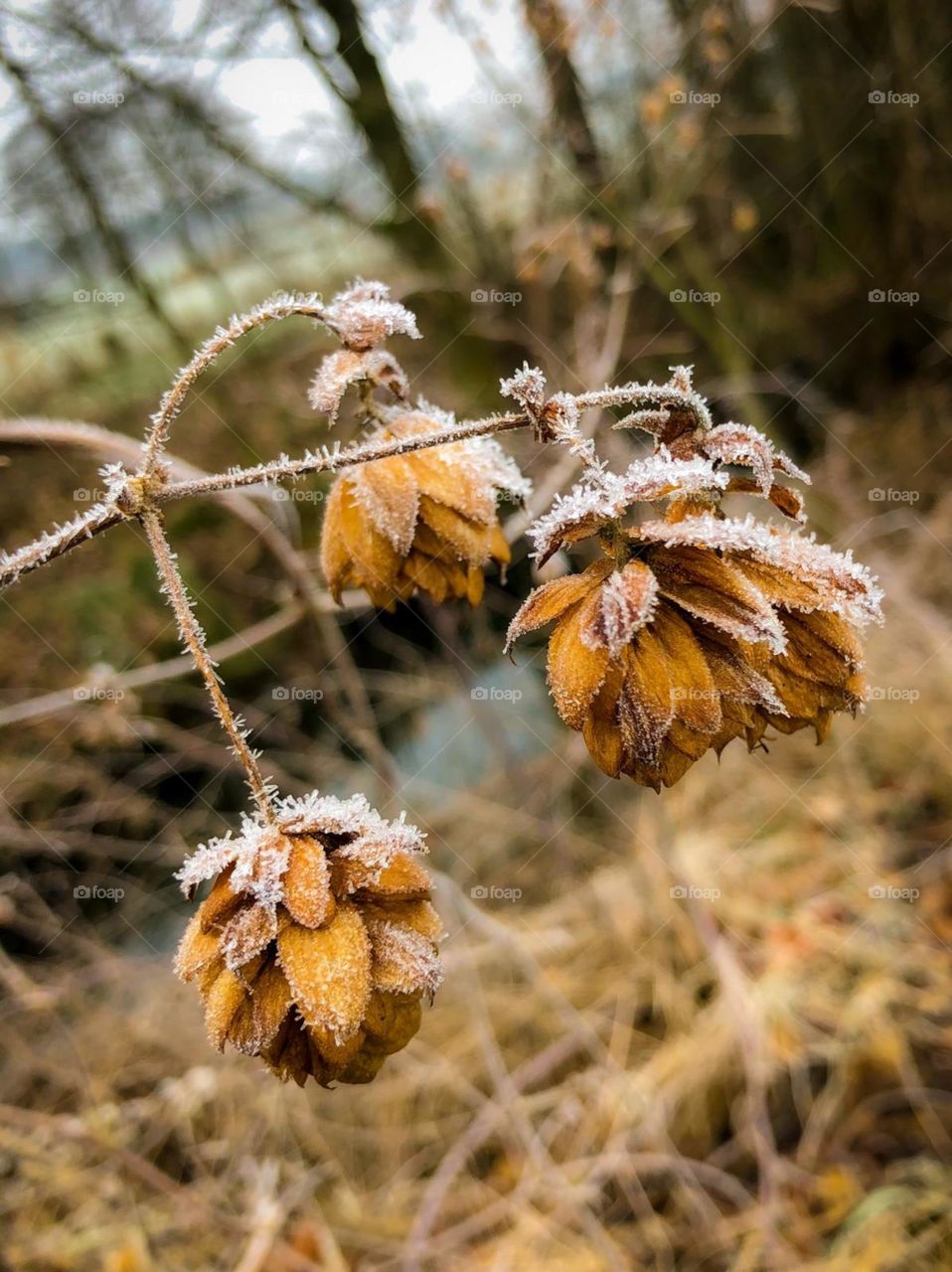 looks good, but i dont know the name