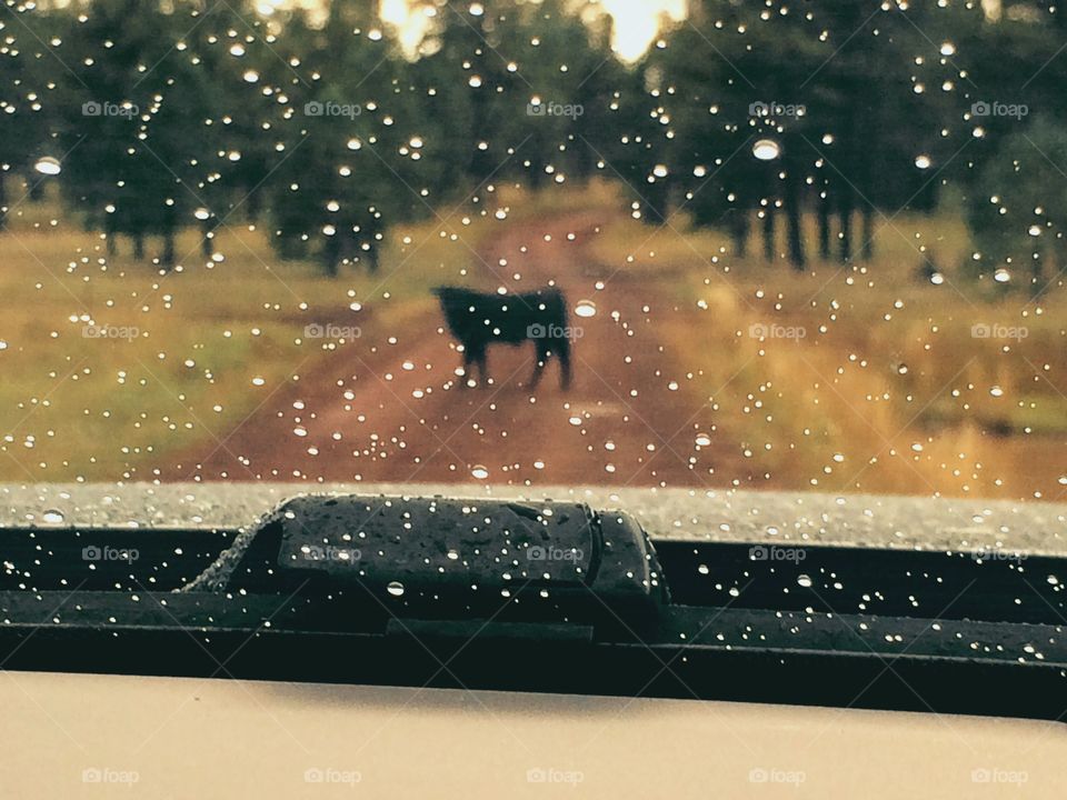 Blocking the Road