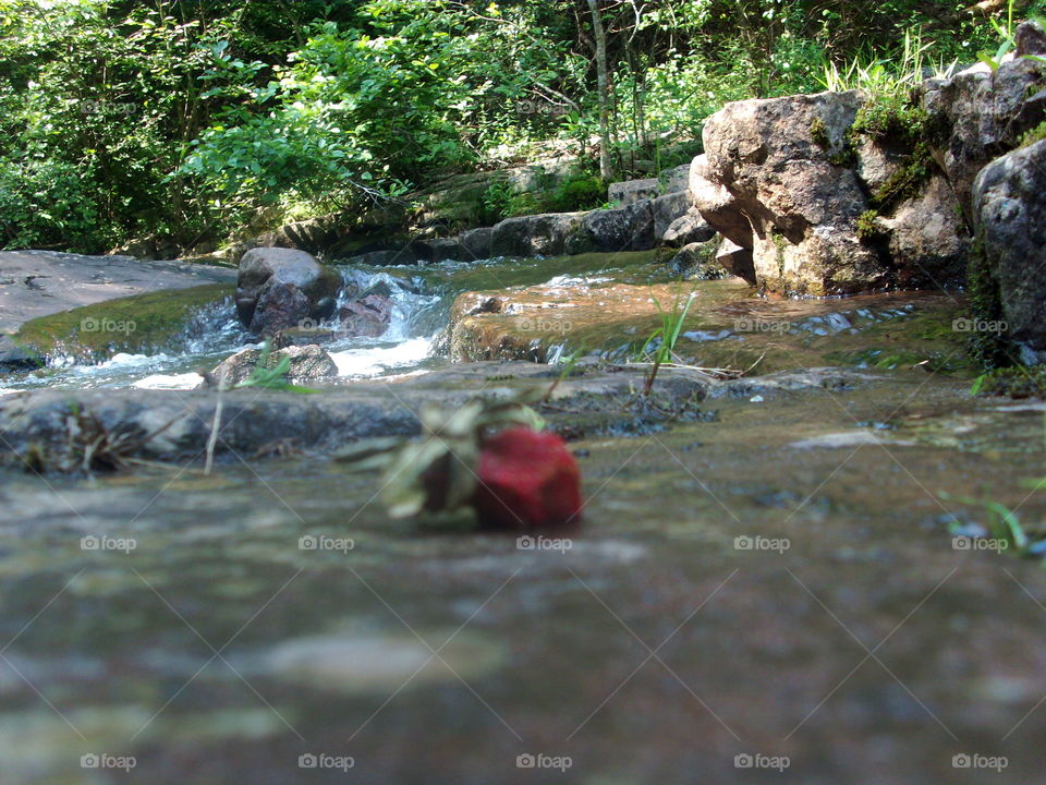 Water, Stream, River, Nature, Waterfall