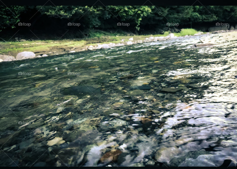 beautiful riverside natural view