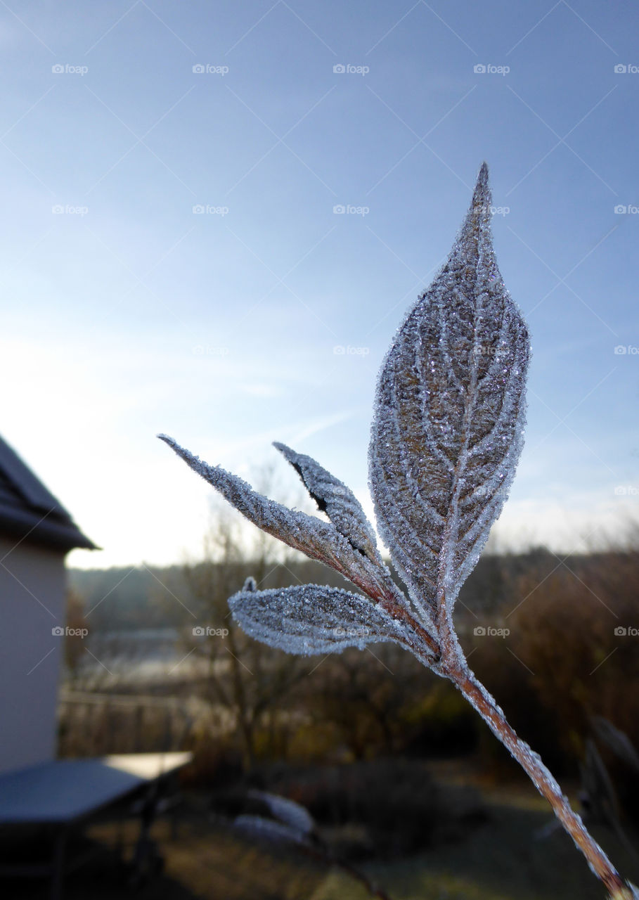 Outdoors on a cold winter day