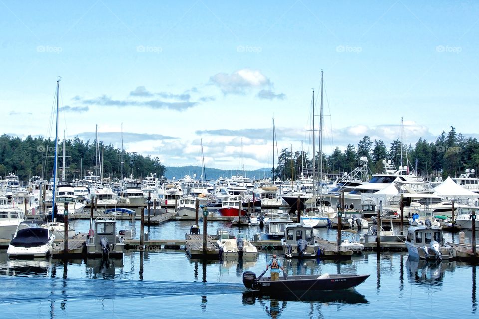 Pacific Northwest Marina