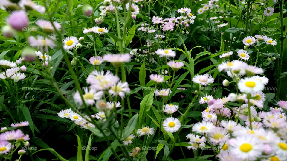 💐
