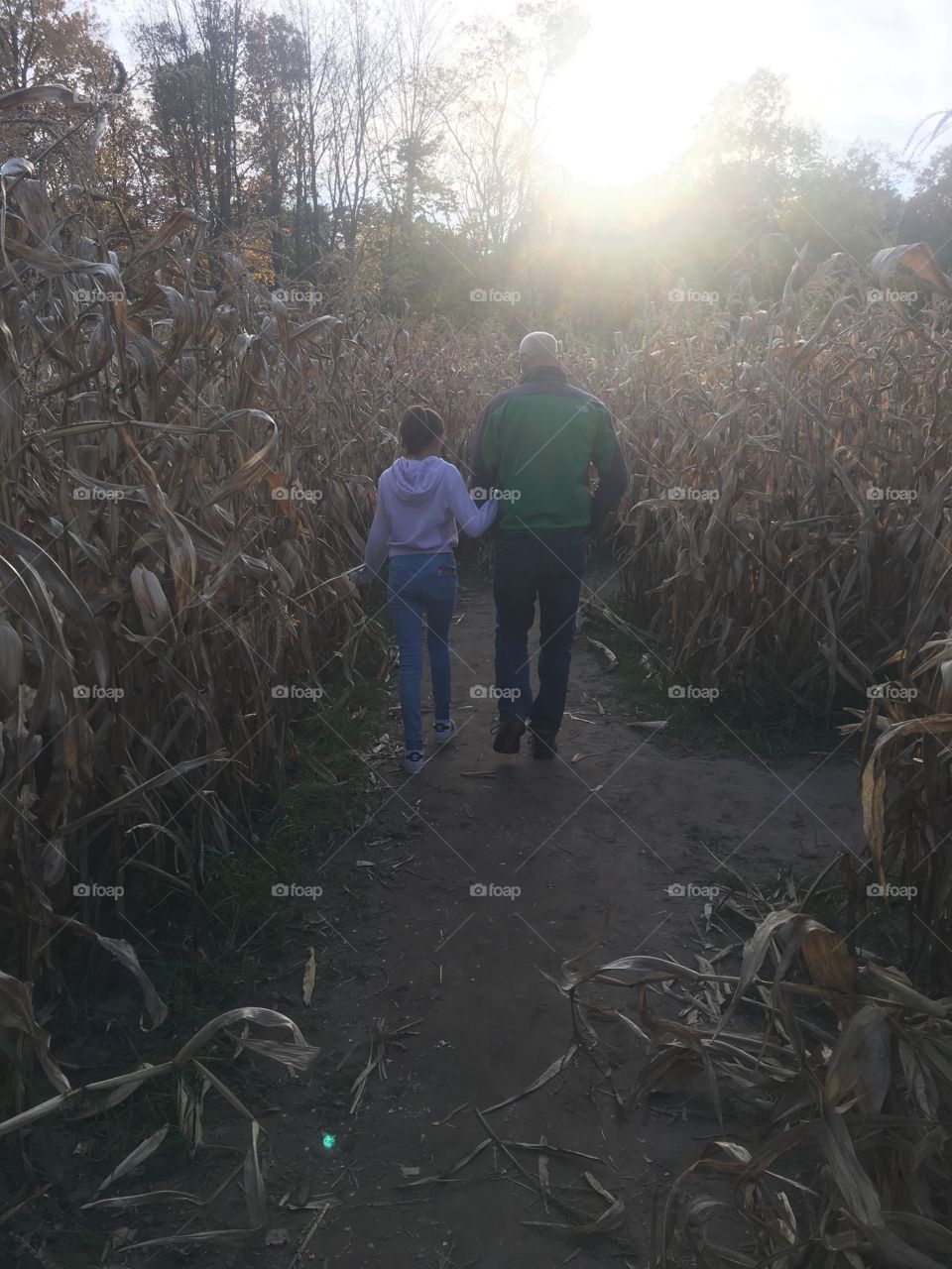 Corn Maze