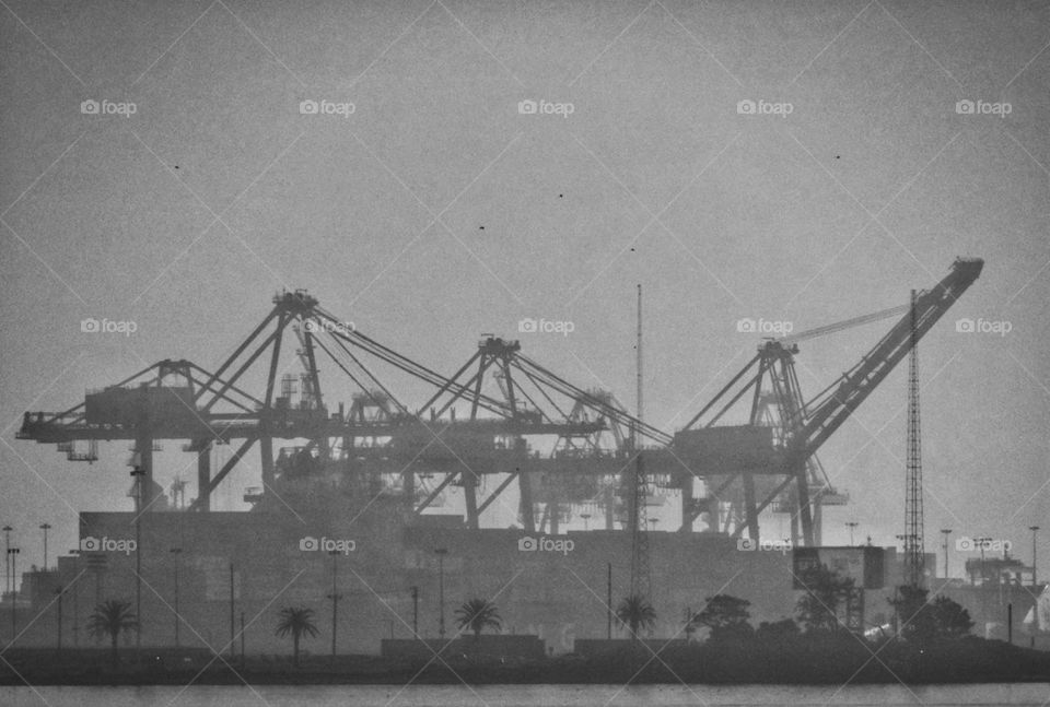 Powerful Giant Shipping Cargo Cranes. Iconic Port Of Oakland Cranes