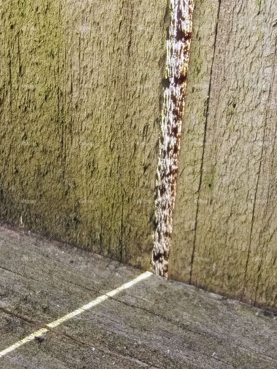 where the light leaks in