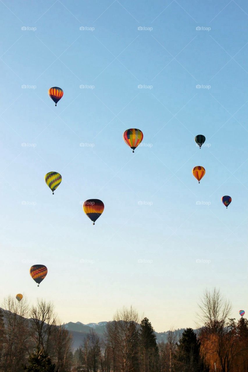 Hot Air Balloons