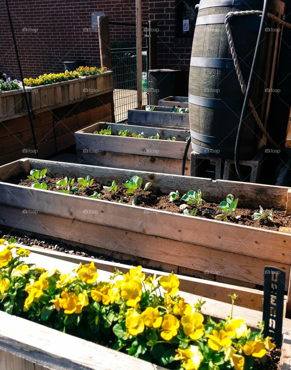 A rain barrel and planter boxes in an urban setting on a patio