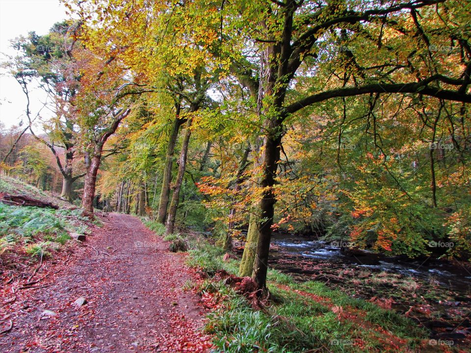 path by the riverside