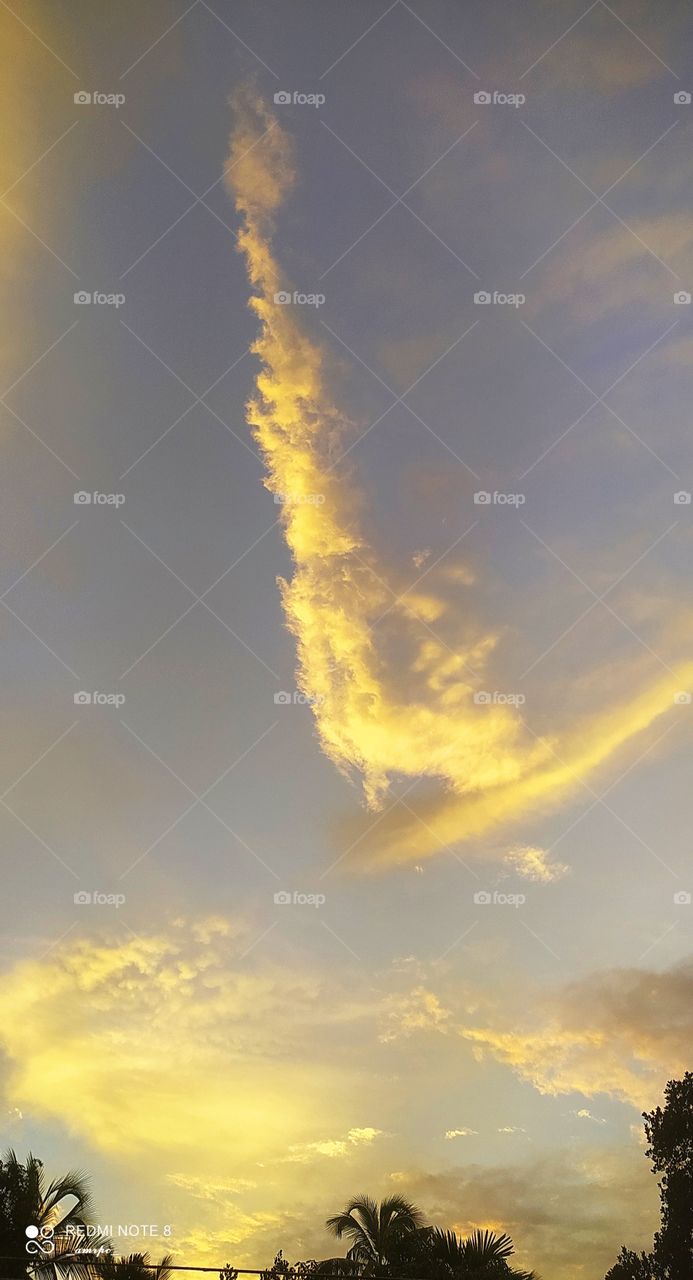 Indeed a golden evening in the country side. When the clouds took a shade of gold on an October evening.