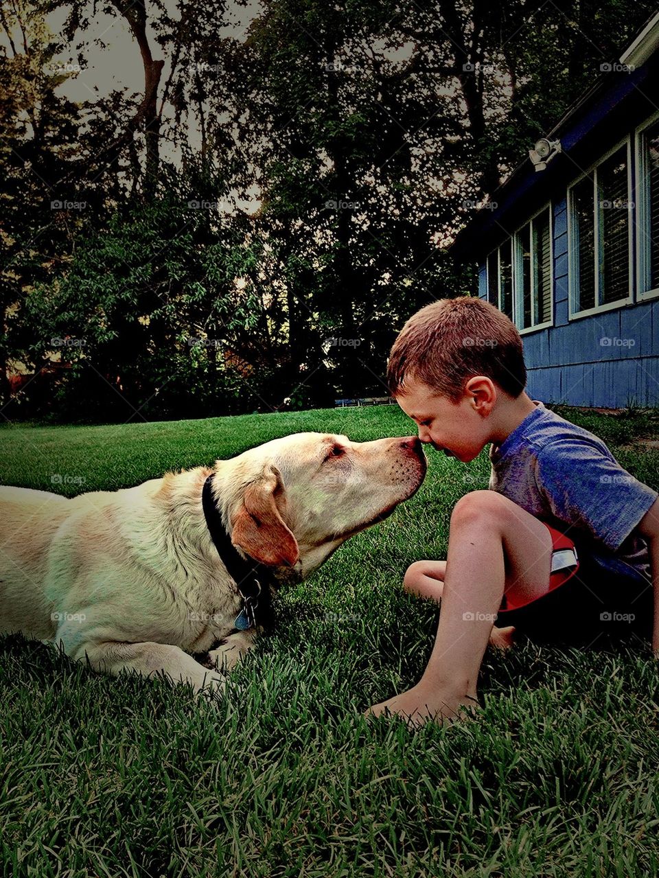 Boy and his Dog