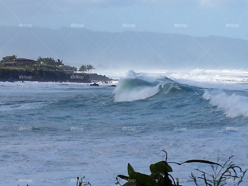 waves at waimea. took during storm that ruined the Eddi
