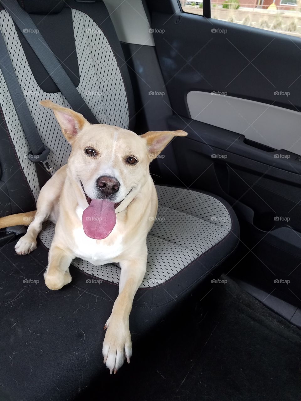 Happy to be going on a ride
