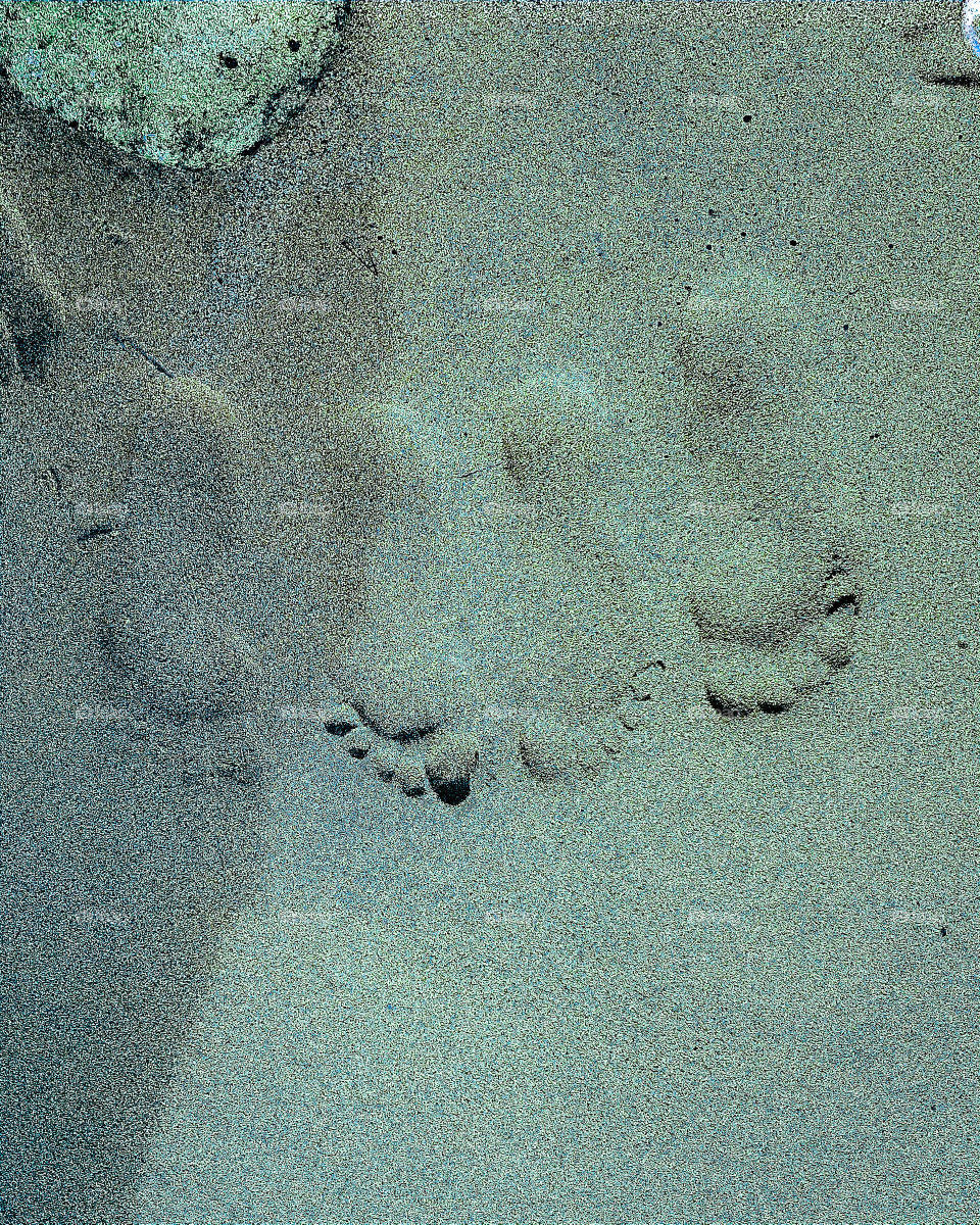 footsteps
