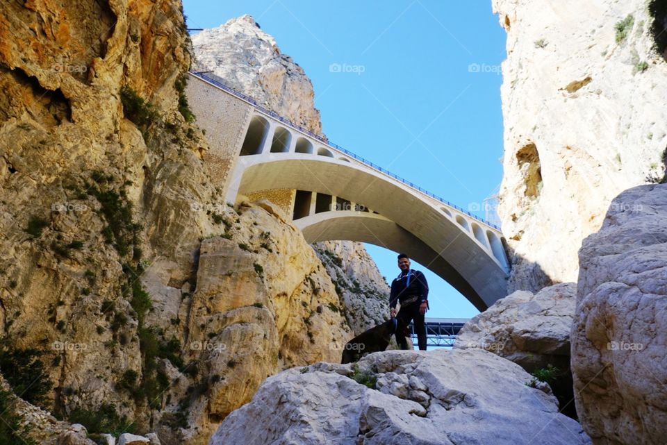 Bridge#mountains#rocks#human#dog#pet