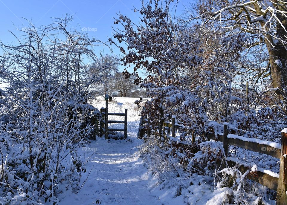 A path through a country Lane in the snow 