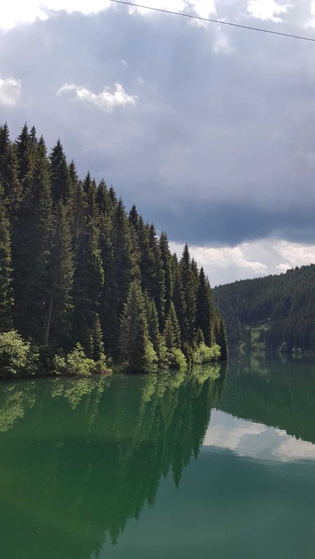 wonderful picture