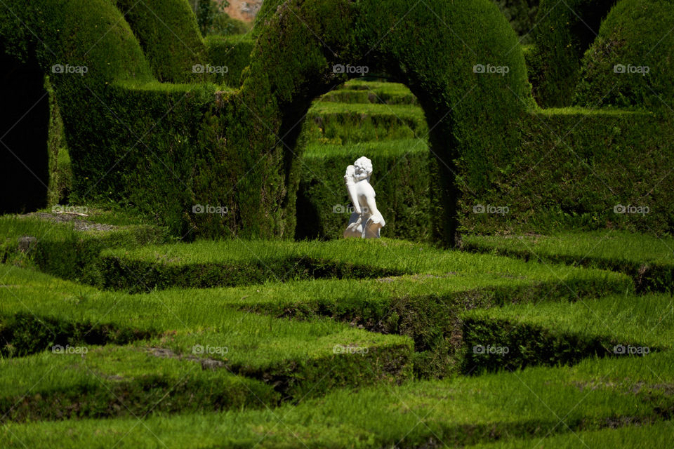 Laberinto de Horta