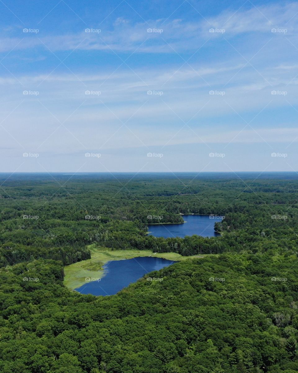 Flight above the pine forest and lakes.