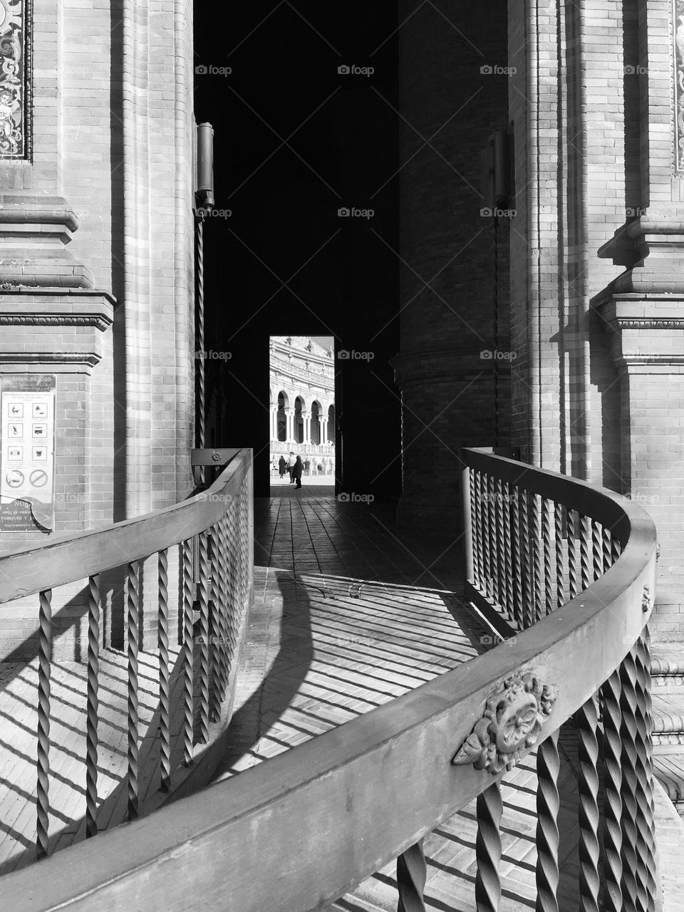 Lines and curves with a view