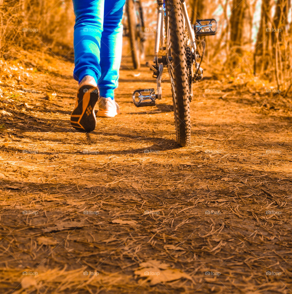 A bicycle walk in the autumn forest