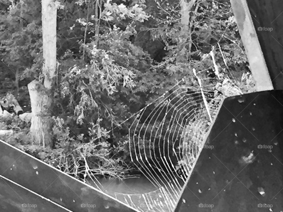 Spiderweb under the bridge 