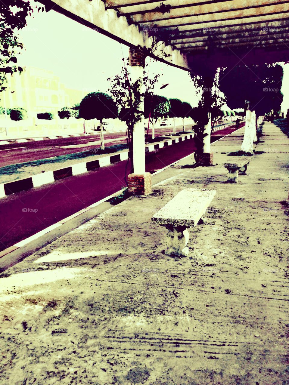 a seat beide the road in safi city