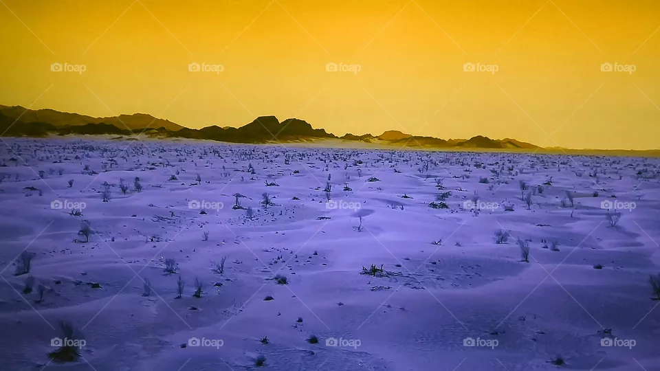 cc