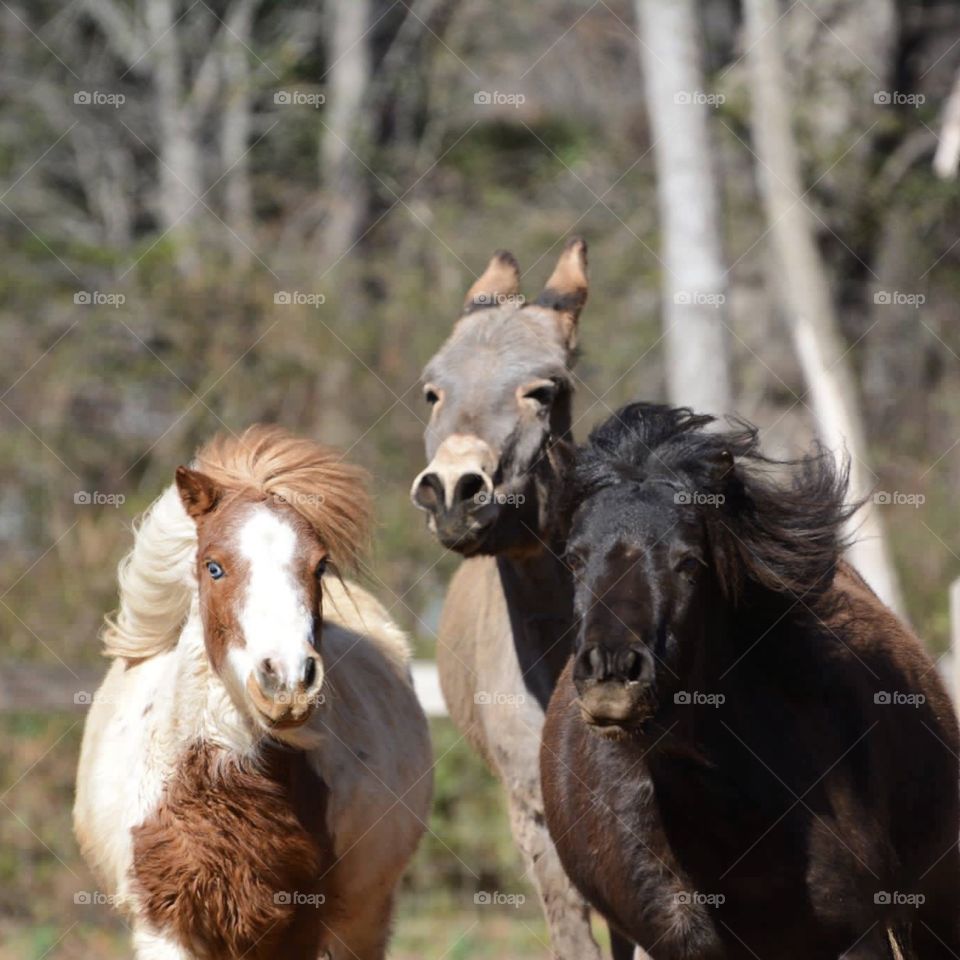 Running against the wind