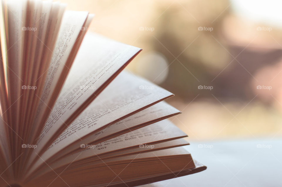 Close-up of a open book