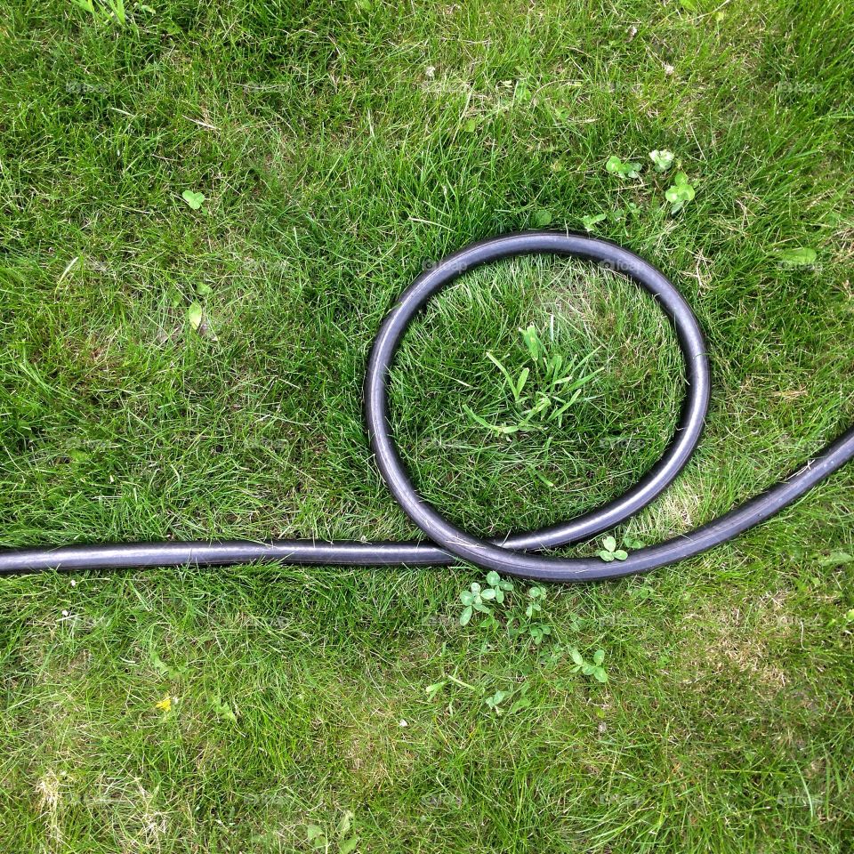 hose on the grass