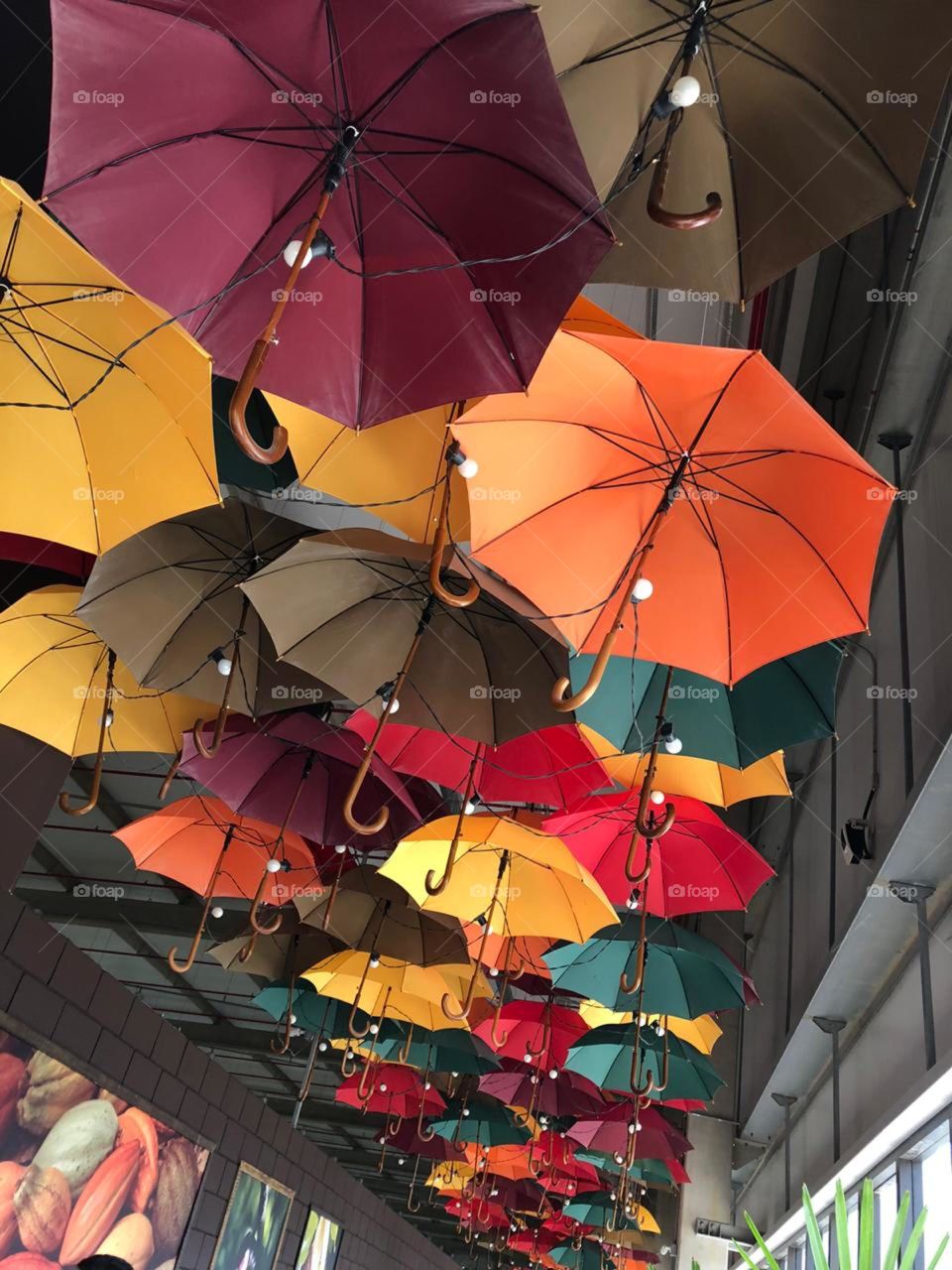 It’s raining get your umbrella!