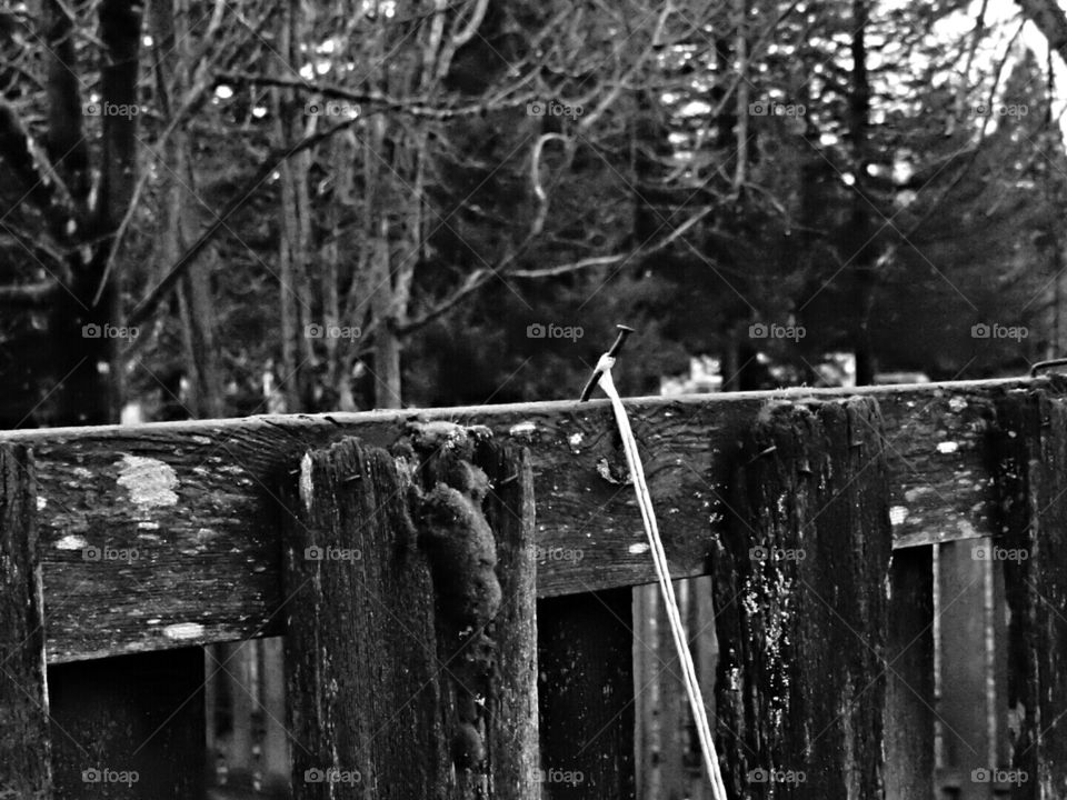 Our World Needs More Good People Holding On Tight On Feeding There Familys! This Nail Is An Example Of Almost Everything There Is To It! Hold On Tight Everyone.๐