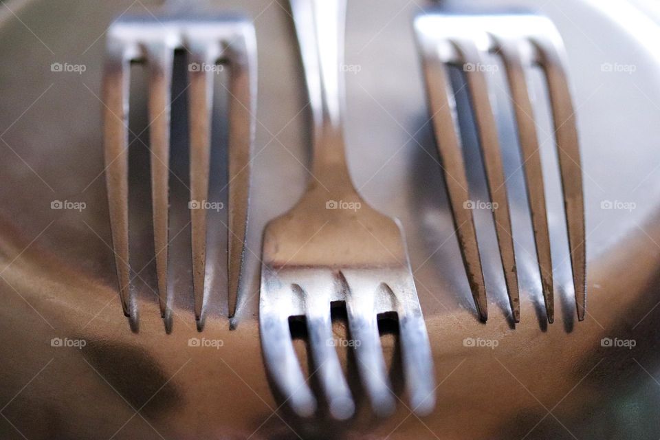 Forks