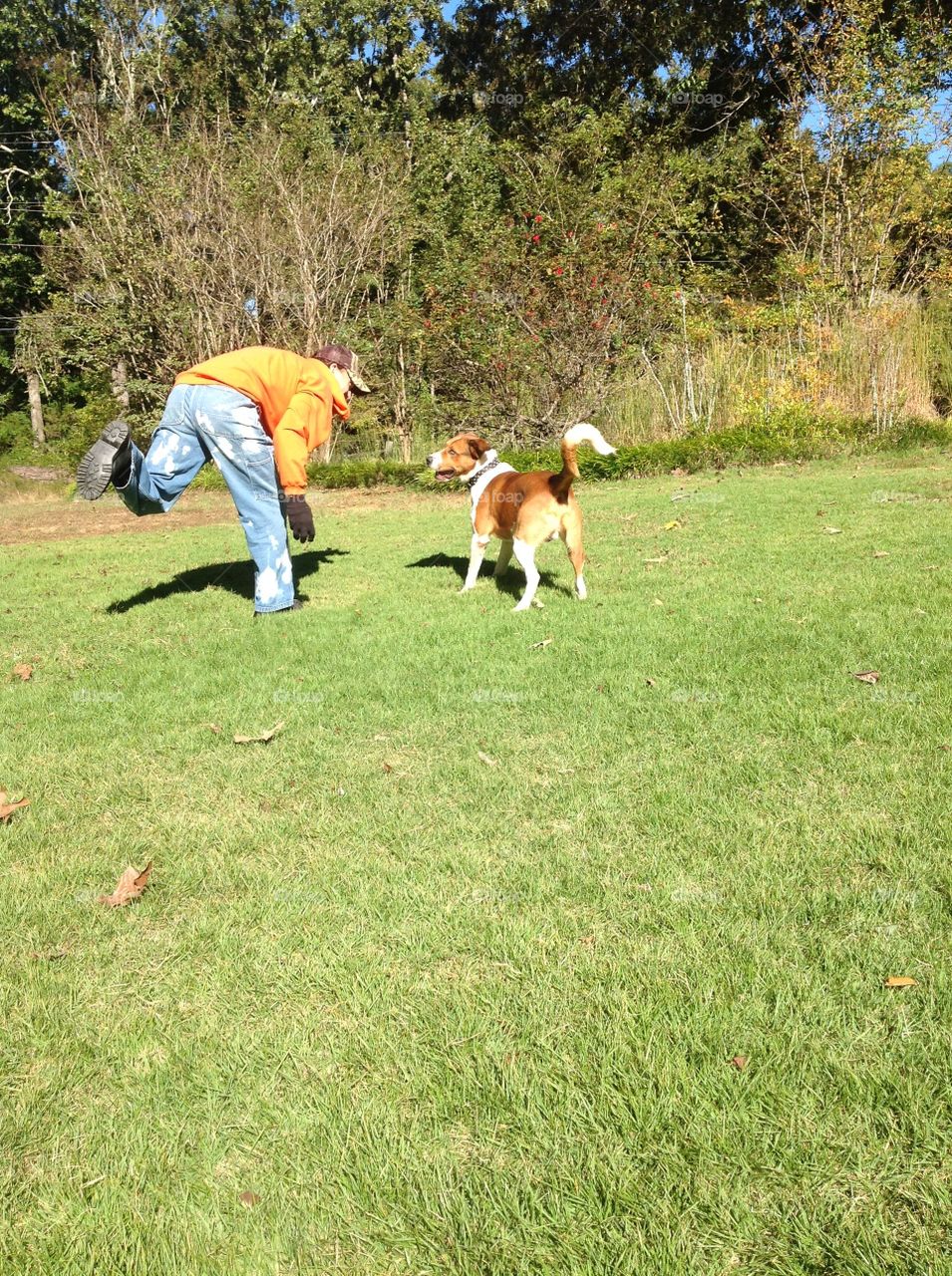 Playing Outdoors with Family Dog