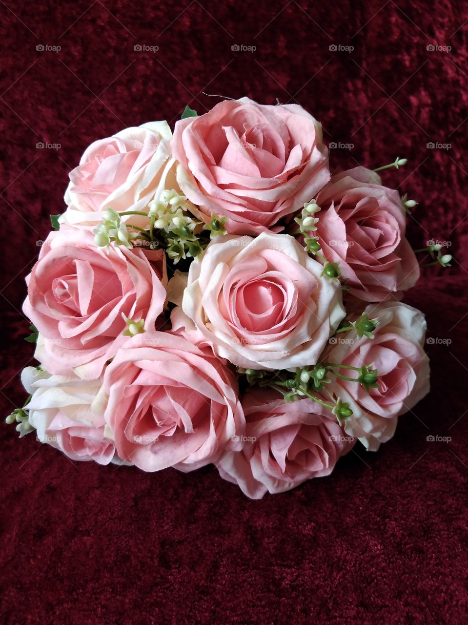 Pink roses