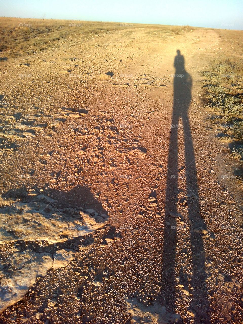 shadows people on a road