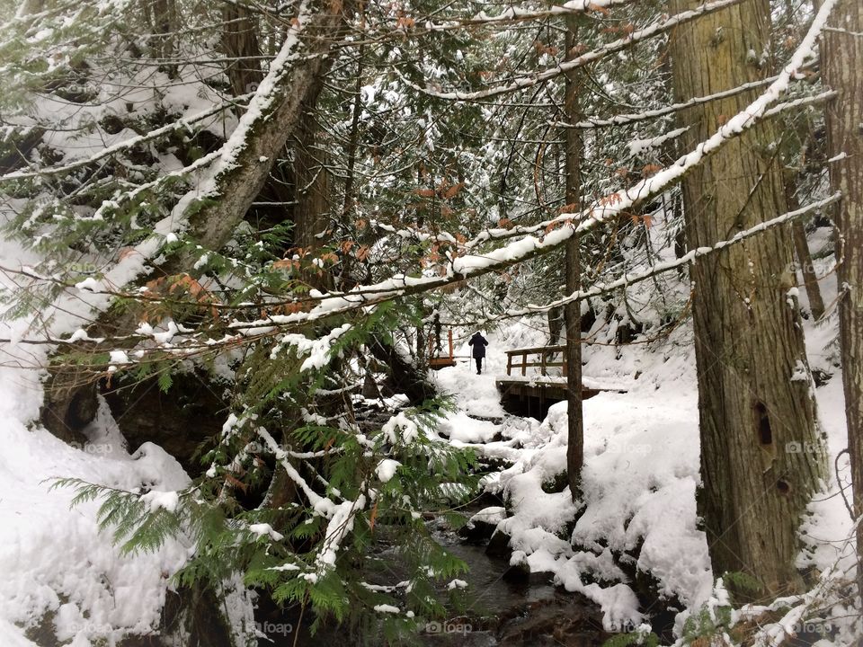 Winter hike in the mountains 