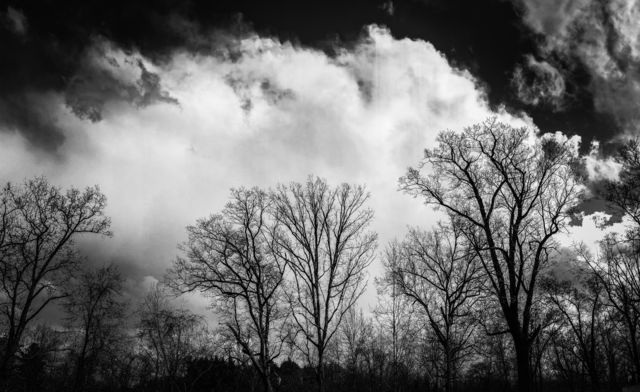 Against the white clouds