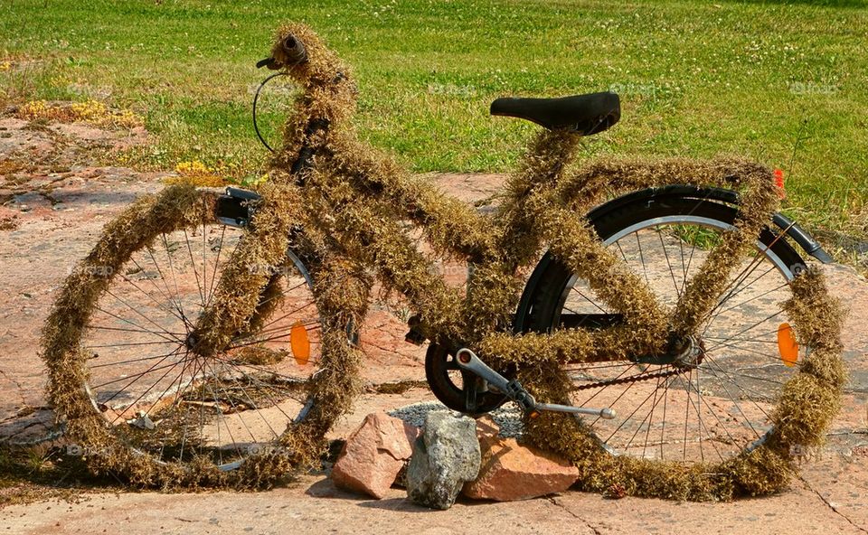 Grassy bike
