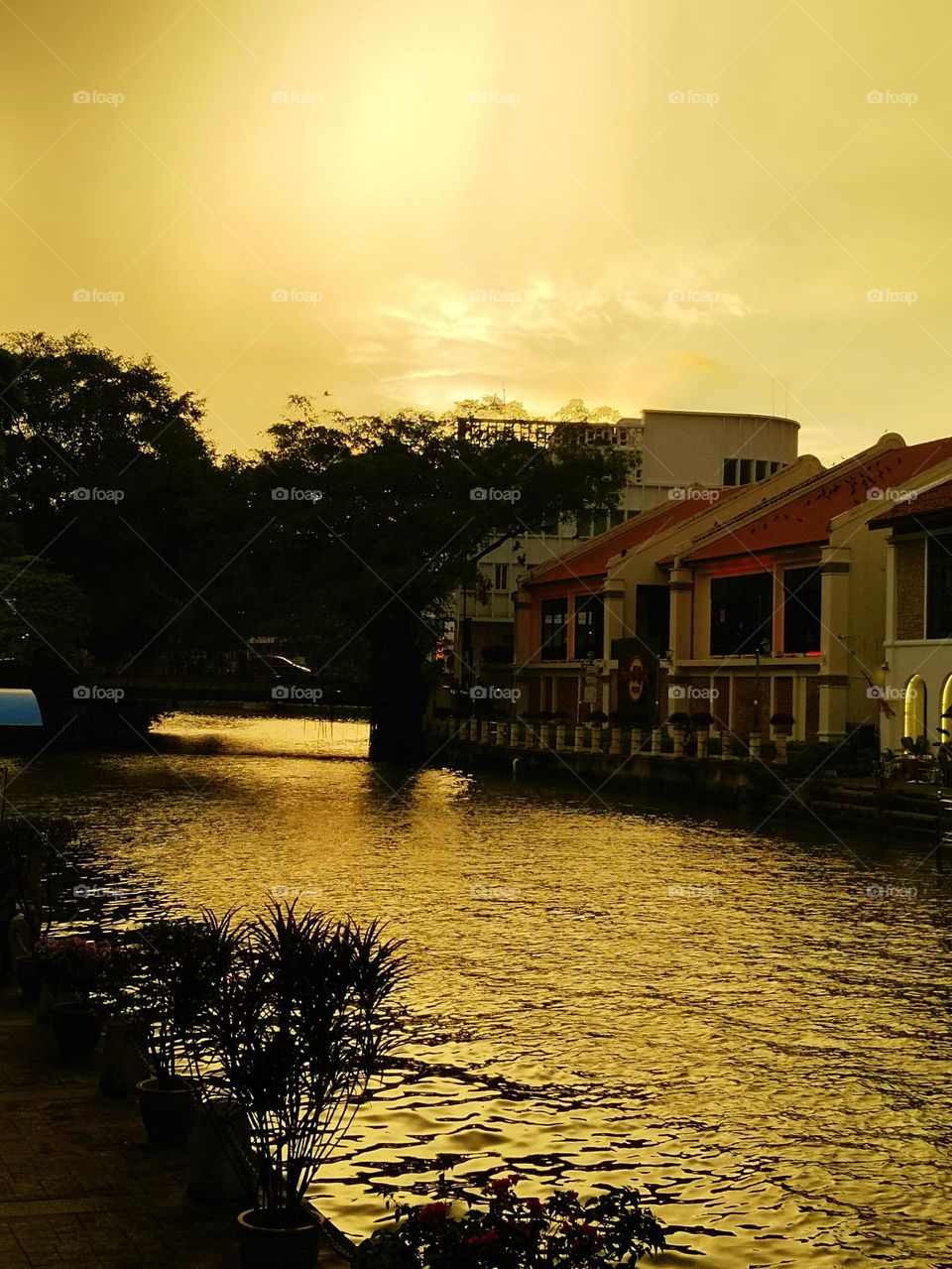 The river in the sunset.