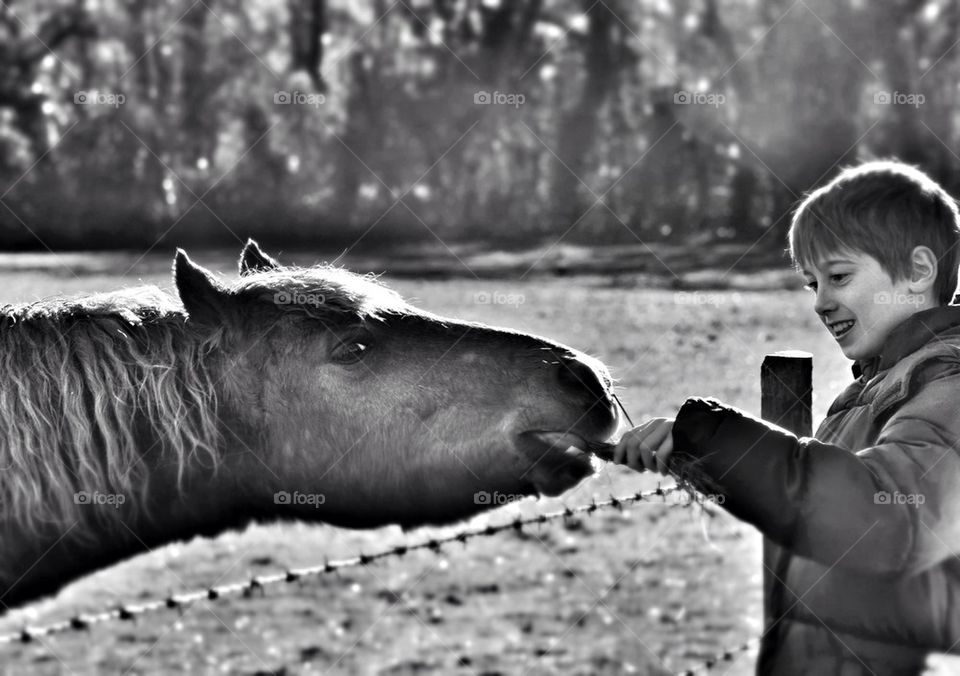 Horse and the child