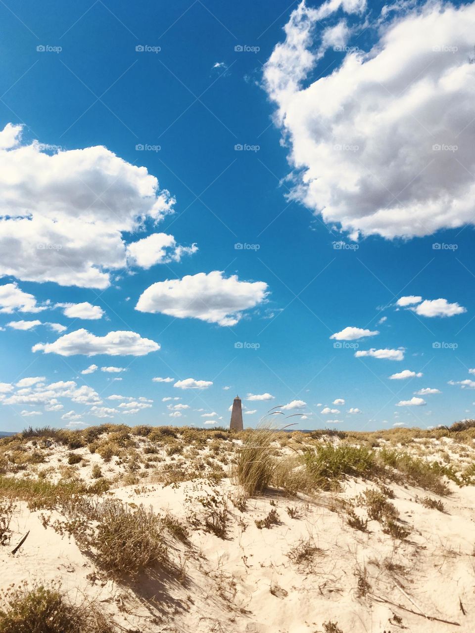 Cloudy beach