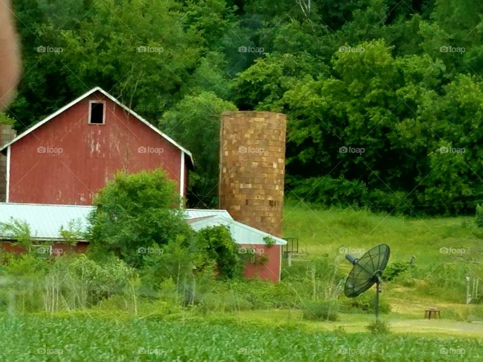 Driving the Back Roads and enjoying everything around us